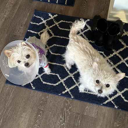 Izzy & Sally O'Malley