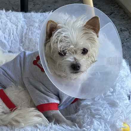 Izzy & Sally O'Malley