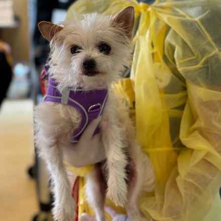 Izzy & Sally O'Malley