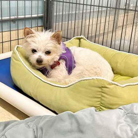 Izzy & Sally O'Malley