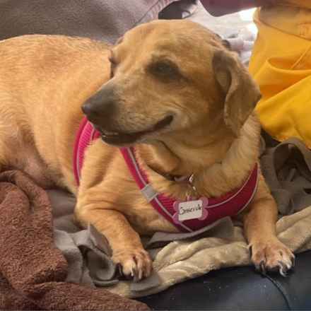 Casserole & Al Dente