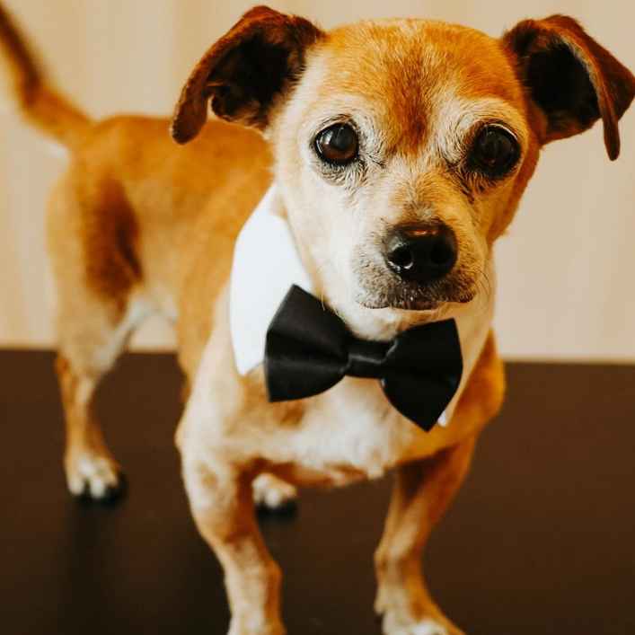 Slim Charles (Slim Shady)