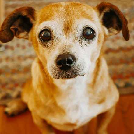 Slim Charles (Slim Shady)