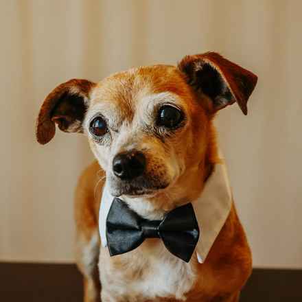 Slim Charles (Slim Shady)