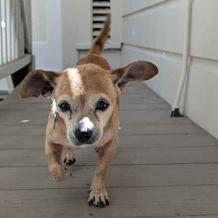 Slim Charles (Slim Shady)