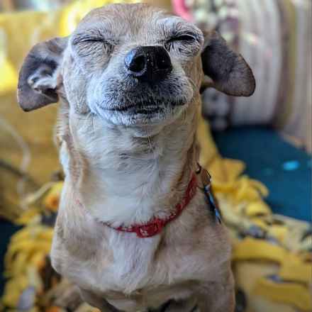 Slim Charles (Slim Shady)