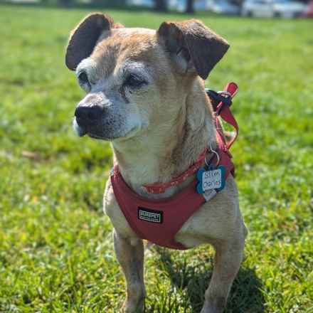 Slim Charles (Slim Shady)