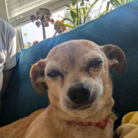 Slim Charles (Slim Shady)