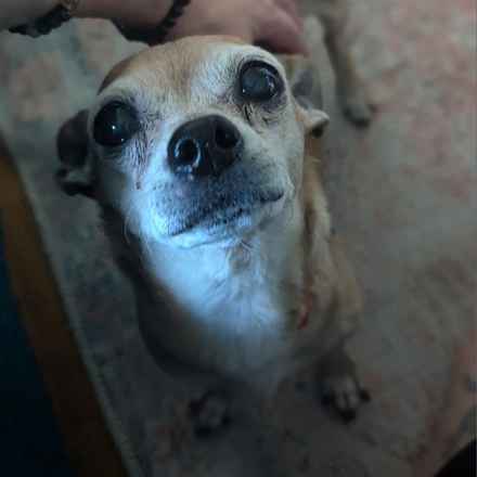 Slim Charles (Slim Shady)