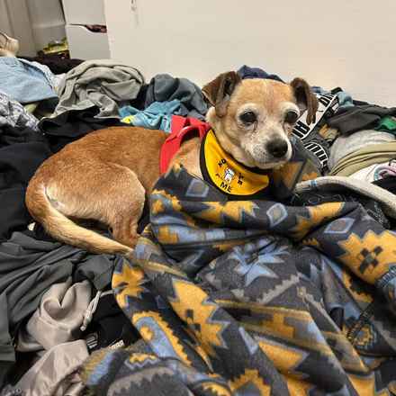 Slim Charles (Slim Shady)