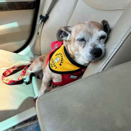 Slim Charles (Slim Shady)