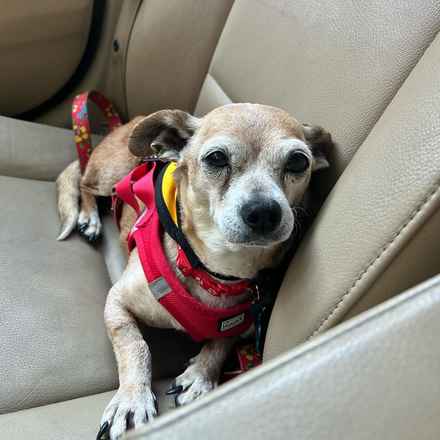 Slim Charles (Slim Shady)