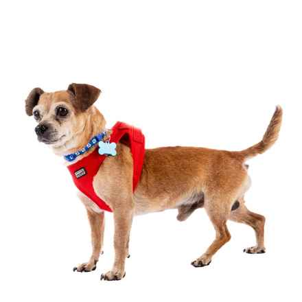 Slim Charles (Slim Shady)