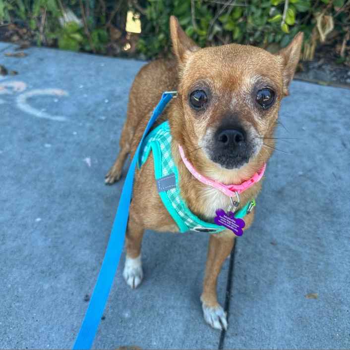 Relaxed Fit (Tae Tae)