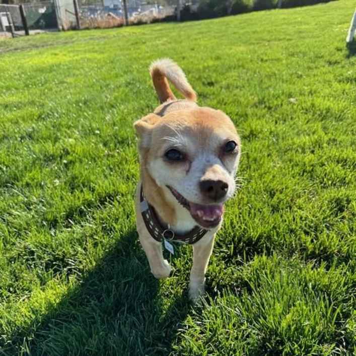 Tugboat Annie (Annie)