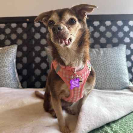 Taylor Frankie Paul (Lola)