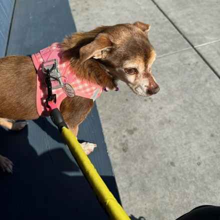 Taylor Frankie Paul (Lola)