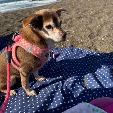 Taylor Frankie Paul (Lola)