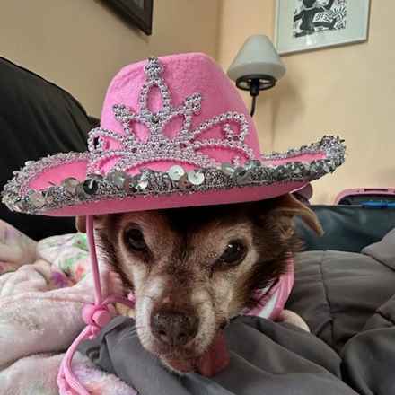 Taylor Frankie Paul (Lola)