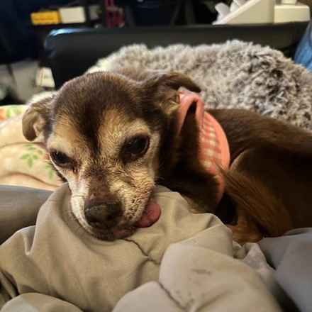 Taylor Frankie Paul (Lola)