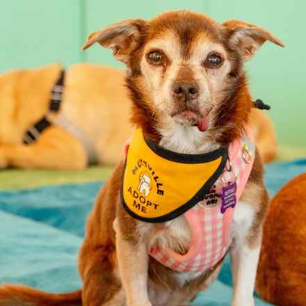 Taylor Frankie Paul (Lola)