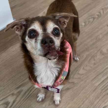 Taylor Frankie Paul (Lola)