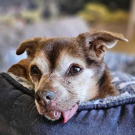 Taylor Frankie Paul (Lola)