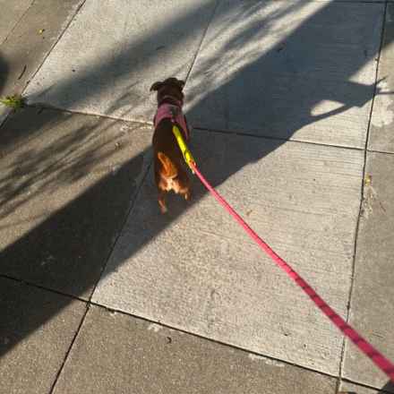 Taylor Frankie Paul (Lola)