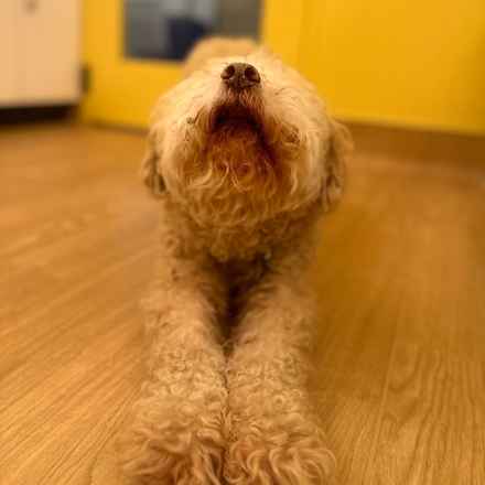 Ker-Plunk (renamed Echo)