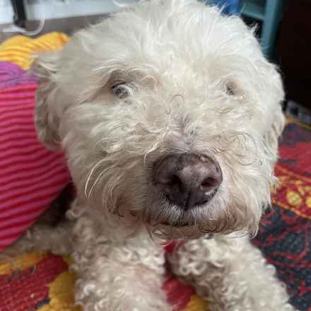 Ker-Plunk (renamed Echo)