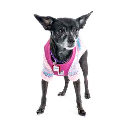 Wintermelon (Sophie)