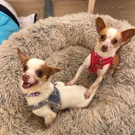 Kylie & Stevie Nicks