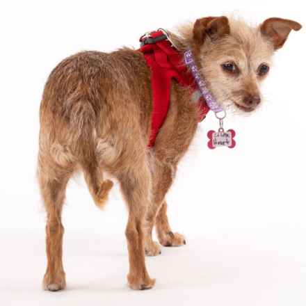 Little Heart (Honey)