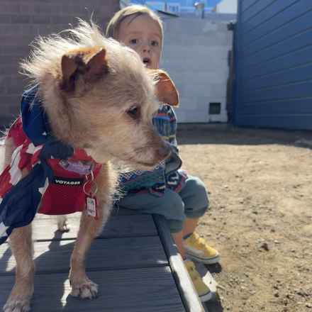 Little Heart (Honey)