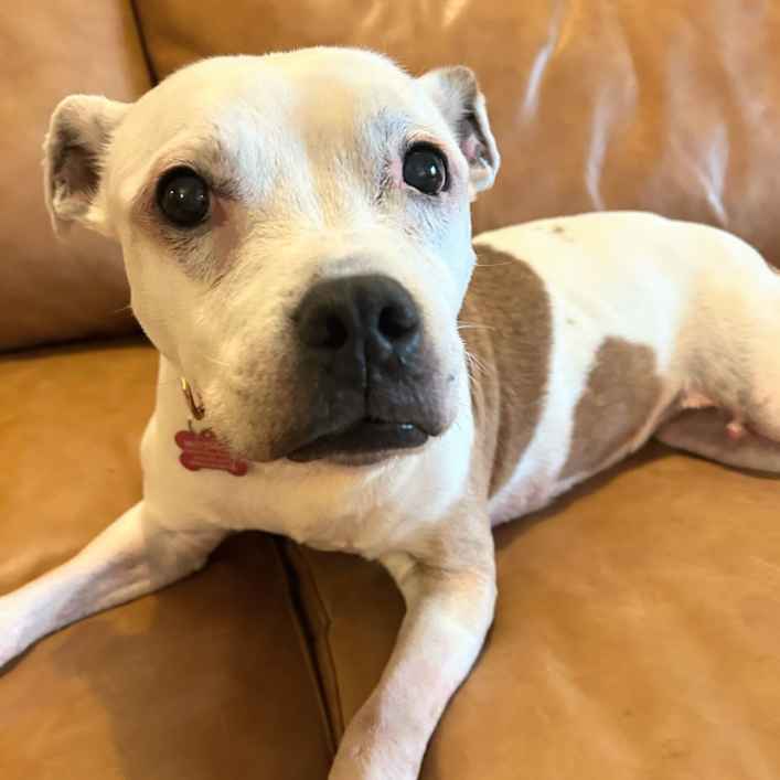 Marinara (aka Ruthie)