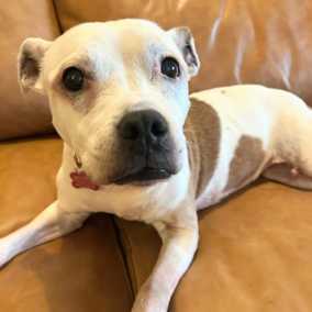 Marinara (aka Ruthie)