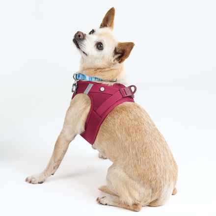 Brennan Lee Mulligan