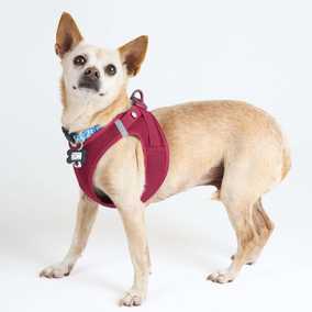 Brennan Lee Mulligan