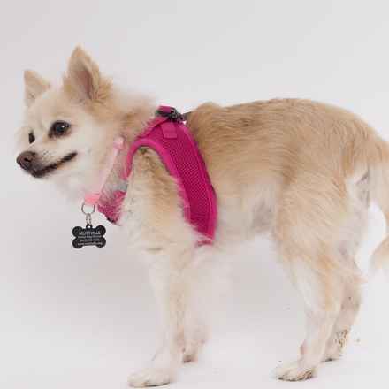 The Rachel (Gnocchi)